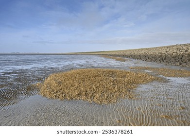 
North Sea dike at low tide in Schleswig-Holstein - Powered by Shutterstock