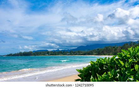 North Shore Hawaii Beach