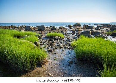 North Shore of Long Island, rocky beach and marsh overlooking the Long Island Sound in Lloyd Harbor, New York.