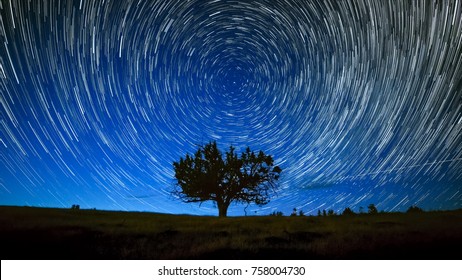 North Star Centered Above Juniper Tree Night Sky Star Trails Over Oregon