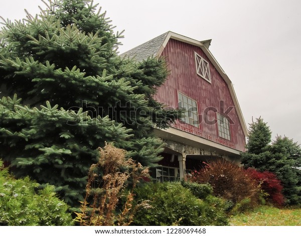 North Syracuse New York Usa November Royalty Free Stock Image