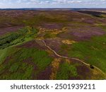 North York Moors Heather North York Moors Heather ,The North York Moors is an upland area in north-eastern Yorkshire, England. It contains one of the largest expanses of heather moorland in england