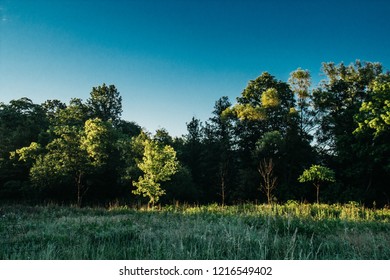 North York Park, Toronto, ON, Canada