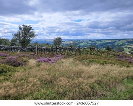 North Yorkshire Moors looking up the Esk Valley