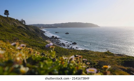 Northern California Coastline At Sunset