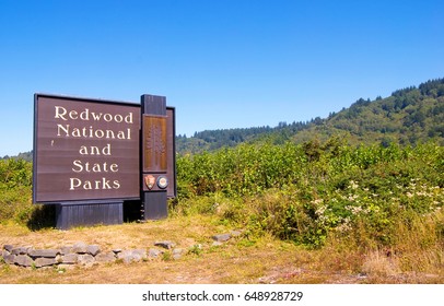 NORTHERN CALIFORNIA, USA - September 2, 2009: Redwood National and State Parks sign near Highway 101 set amongst native vegetation