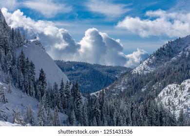 Northern California Winter Landscape