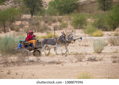 Northern Cape, South Africa - March 30, 2019:  Mixed Race Family Riding On And Driving A Rustic Homemade Donkey Cart With Two Donkeys Pulling The Load In The Dry, Arid Desert Landscape Of The Kalahari