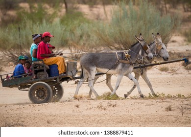 Northern Cape, South Africa - March 30, 2019:  Mixed Race Ethnic Family Driving And Riding A Traditional Rustic And Basic Donkey Cart In The Dry And Arid Landscape Of The Kalahari Or Kgalagadi Desert 