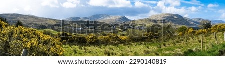 Northern Ireland. Panorama of the mountains and flowers.