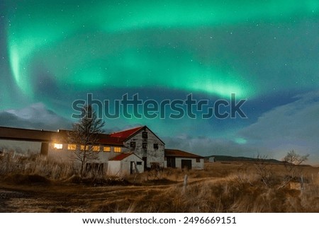 Northern Light, spectacular Aurora borealis over a farm in Iceland