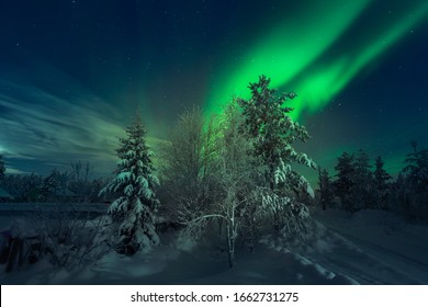 Northern Lights Against The Background Of Snowy Trees In The Winter Forest.