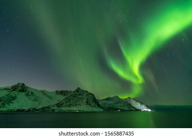 Northern lights, Aurora Borealis, with the Husfjellet mountain, Tungeneset, Senja Island, Troms Norway Europe