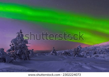  Northern lights (Aurora Borealis) in Khibiny Mountains, Murmansk region, Russia, Far North, Polar Night