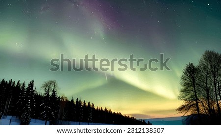 The Northern Lights dance across the sky, illuminating the long winter night with bursts of color and light. The swirling auroral wisps paint the heavens in greens, blues and purples, like cosmic brus