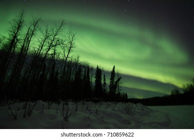 Northern Lights In Fairbanks Alaska