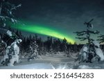 Northern lights in night sky over snowy forest outside of Rovaniemi, Lapland