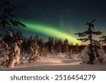 Northern lights over snowy forest outside of Rovaniemi, Lapland