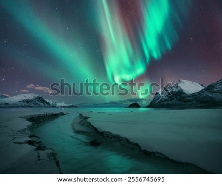 Northern Lights, snowy mountains, sandy beach, creek at starry winter night. Lofoten islands, Norway. Amazing Aurora borealis. Sky with polar lights. Landscape with aurora, sea, stream, rocks in snow