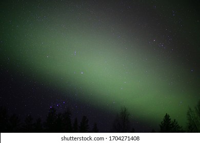 Northern lights and stars over tree silhouettes. - Shutterstock ID 1704271408