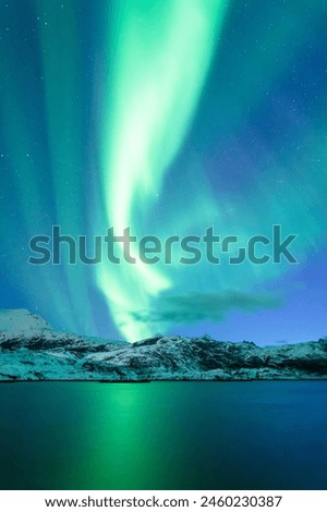 Northern Lights in winter landscape