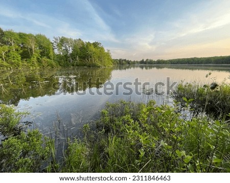 Northern Michigan lake on a summer evening, with trees reflected on the calm water