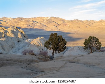 Northern Nevada Landscape