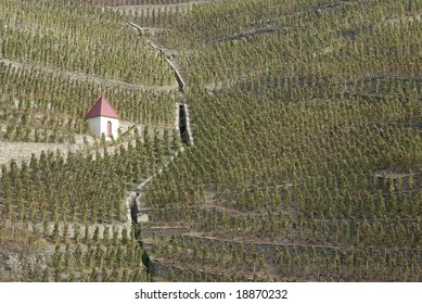 The Northern Rhone Is Most Famed As The Home Of Syrah.