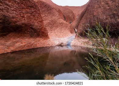 Northern Territory, Australia - July 12, 2011: A Water Hole At The Foot Of Uluru-Ayers Rock