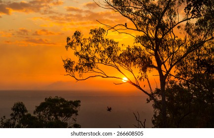 Northern Territory Sunset