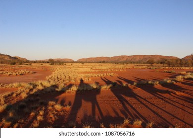 Northern Territory Sunset Camel Ride Shadows