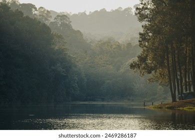 Northern Thailand is known for its stunning mountainous landscape, rich cultural heritage, and diverse ethnic groups. The region is characterized by lush jungles, mist-covered valleys, and traditional - Powered by Shutterstock