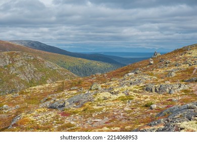 Northern Tundra With Colorful Mosses, Reindeer Moss And Autumn Grass On Hills.