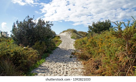 Northland, New Zealand - May 5th 2019.
The Path To Bream Bay