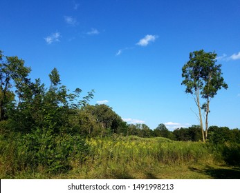 Northwest Ohio And All Of Its Beauty.