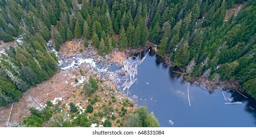 Northwest Washington State Mountain Lake Beaver Log Dam - Barclay Lake Mt Baring Aerial Above View