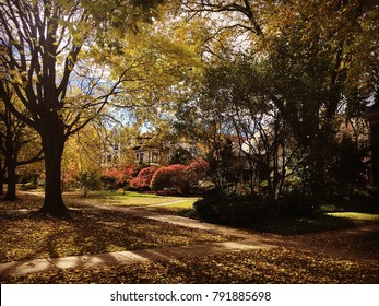 Northwestern University Fall