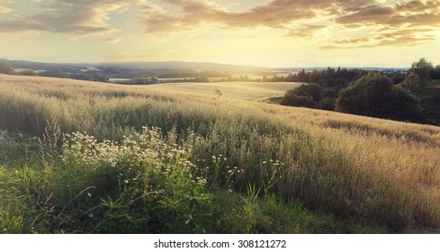 Norway Summer Landscape With Wheat Field And Clouds. Vintage Effect.