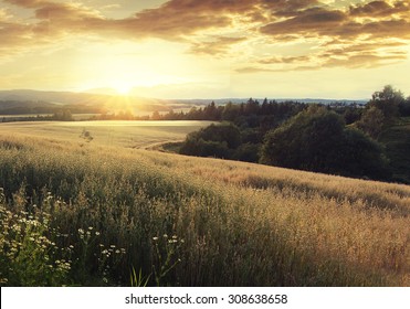 Norway Summer Landscape With Wheat Field And Clouds At Sunset (sunrise). Sunshine Over The Village. Vintage Effect.