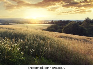 Norway Summer Landscape With Wheat Field And Clouds At Sunset (sunrise). Sunshine Over The Village. Vintage Effect.