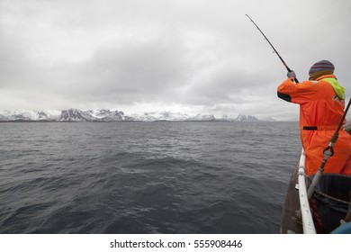 Norway,Lofoten Island.Cod Fishing.