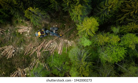 Norwegian foresting, logging, drone shot from above - Powered by Shutterstock