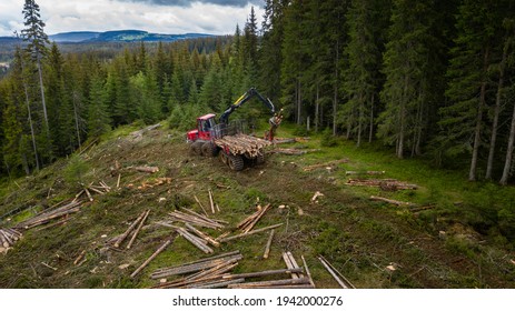 Norwegian foresting, logging, drone shot from above - Powered by Shutterstock