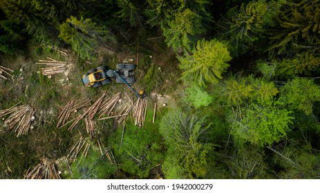 Norwegian foresting, logging, drone shot from above - Powered by Shutterstock