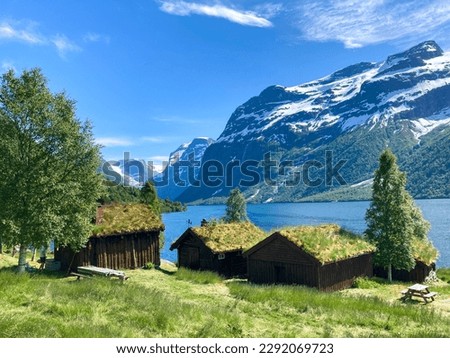 Norwegian landscape during the summer