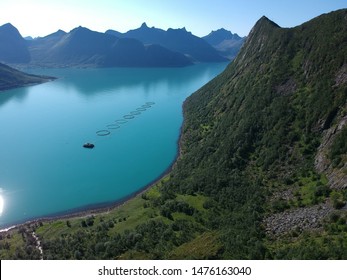 Norwegian Nature, Landscapes, Aqua Culture, Fjords