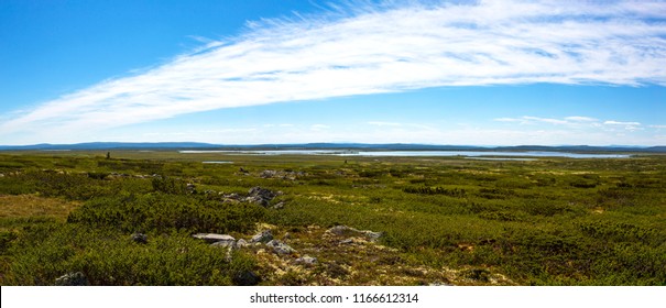 Norwegian summer panoramic landscape, dark green grass, bushes, rocks, lake in the distance, clear blue sky, white light clouds. - Shutterstock ID 1166612314