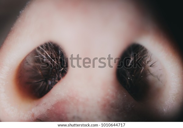 men nose hair