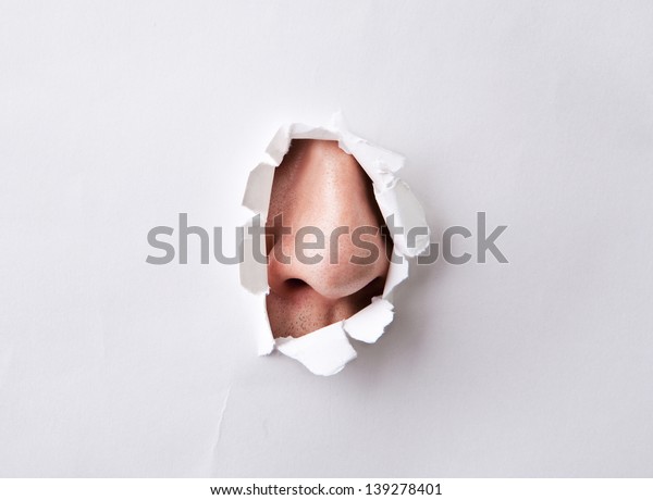 nose\
peeping out from torn paper hole -\
curiousity