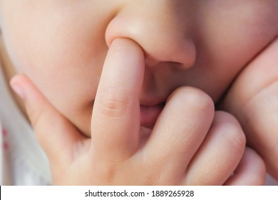 Nose Picking. Child Picking His Nose Close Up